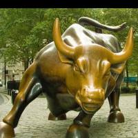 Forex Trading Coach | Business