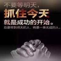 趋势交易@