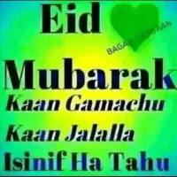 Amiin ilma oromoo