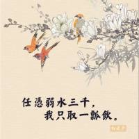 《弱水三千》