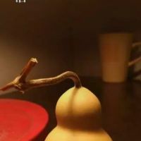 哈哈333333