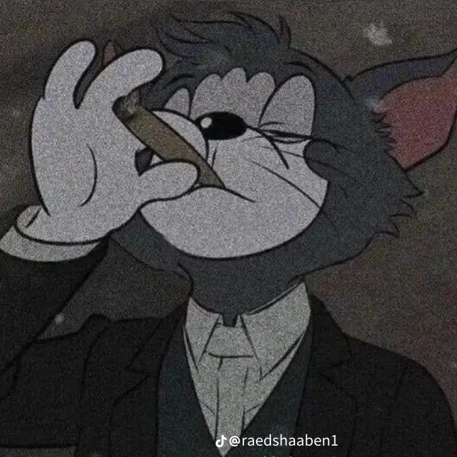 tøni p.a
