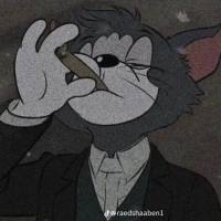 tøni p.a