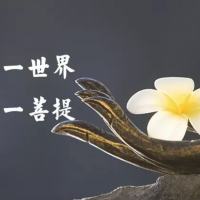 趋势的行者