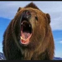 与大众为敌