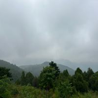 交易刺客