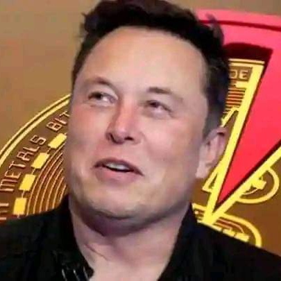 elon reeve musk Tesla trader