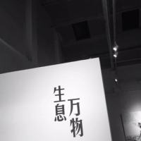 Doo Prime 专属顾问Justin