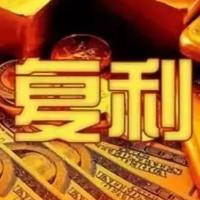黄生炒金
