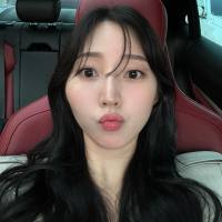lee293