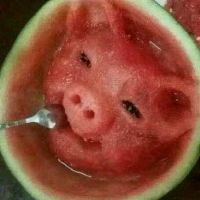 答案在趋势中飘扬