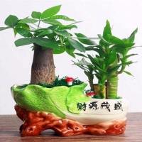 财源茂盛💖