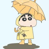 理想主义失败者