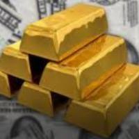 金天有你真好