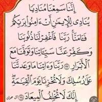 shadi198384