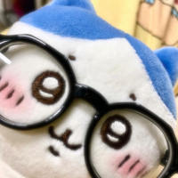 外会老弟