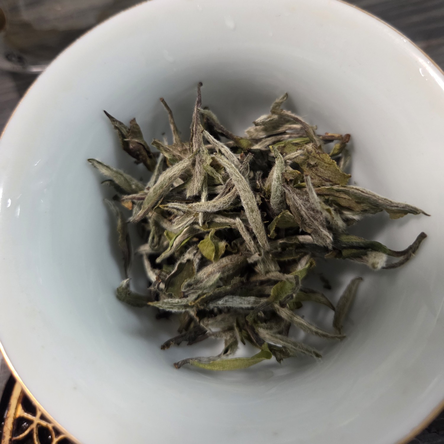 像风一样自由噢耶