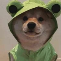一毛神钱