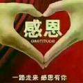 姚联鑫