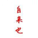 空条徐伦的执念