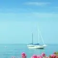 58230345IA