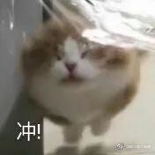 比克大魔王Zn