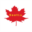Scotia International