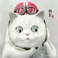 小红帽marshall
