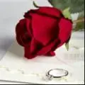 皮皮_8301