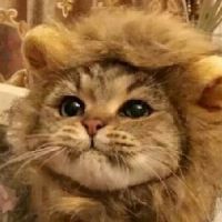 猫魔人Majin