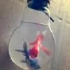 白开水水水