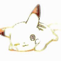 无敌阿金