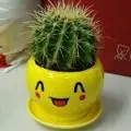 三钱二分