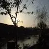 叶自飘零