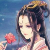 蝶恋花plo