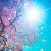 一指流沙