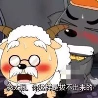 香辣姬腿宝