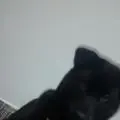 艾芝晴