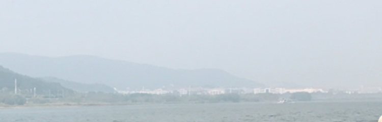 千鸟