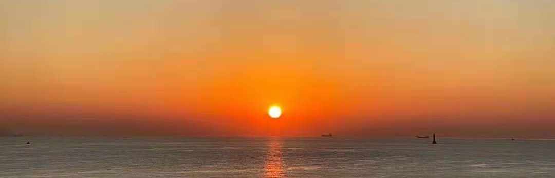 东海鲲鹏