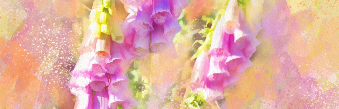 宝宝花露水