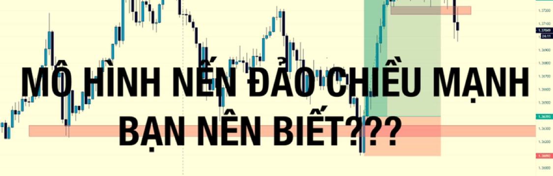 Lê Dương Trading