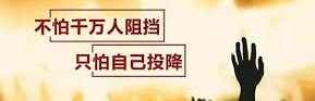 外汇新手小白