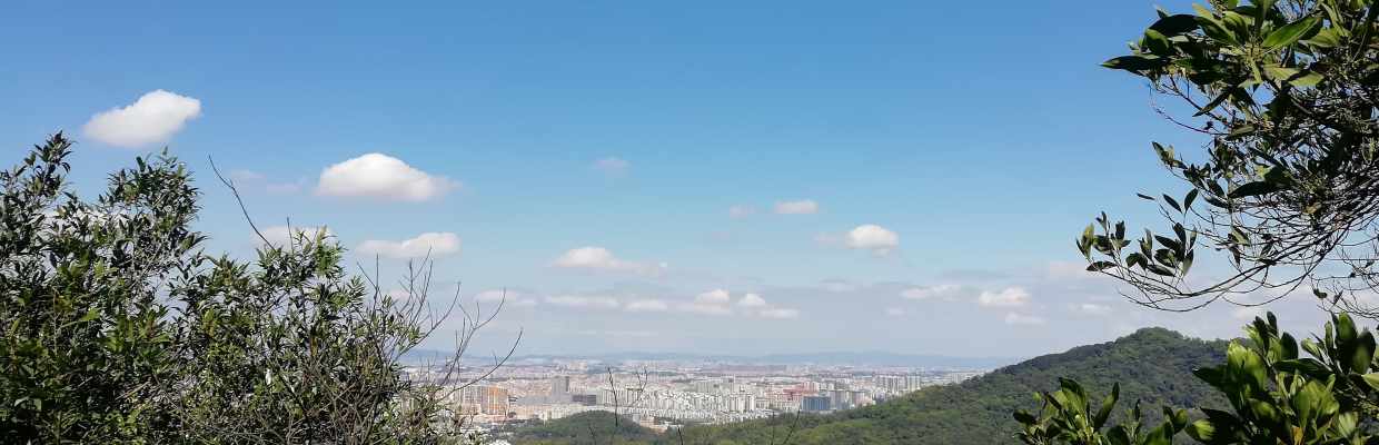零和玩家
