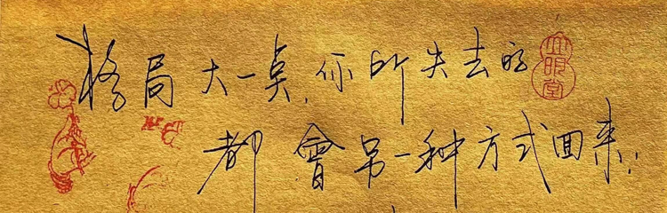 破茧成蝶2019