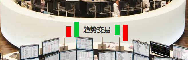 杨子年