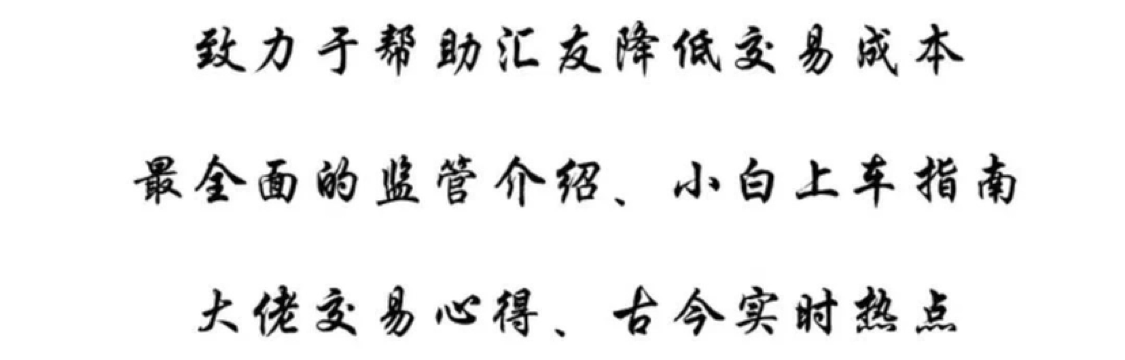 鱼乐枝上丶