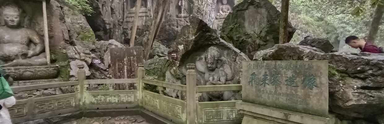 爆仓中成长