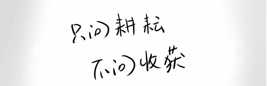 只爱恒指的大婶