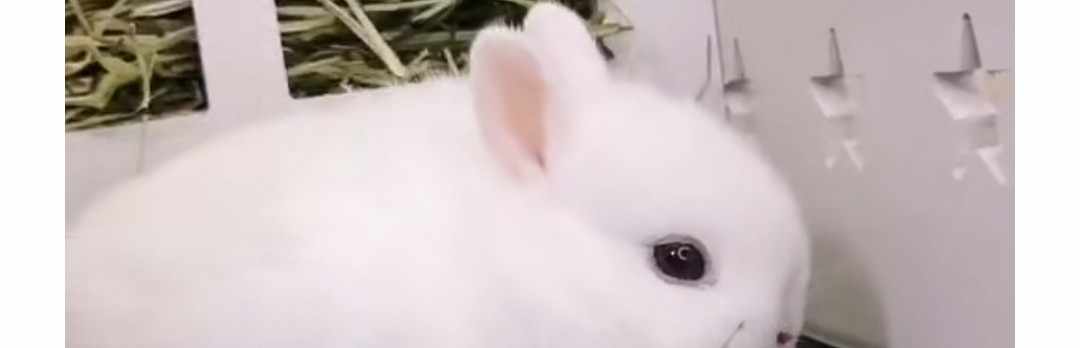 倒数第一名
